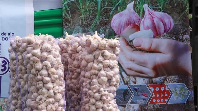 images/1741759620147Temporada de ajo peruano.jpg